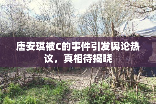 唐安琪被C的事件引发舆论热议，真相待揭晓