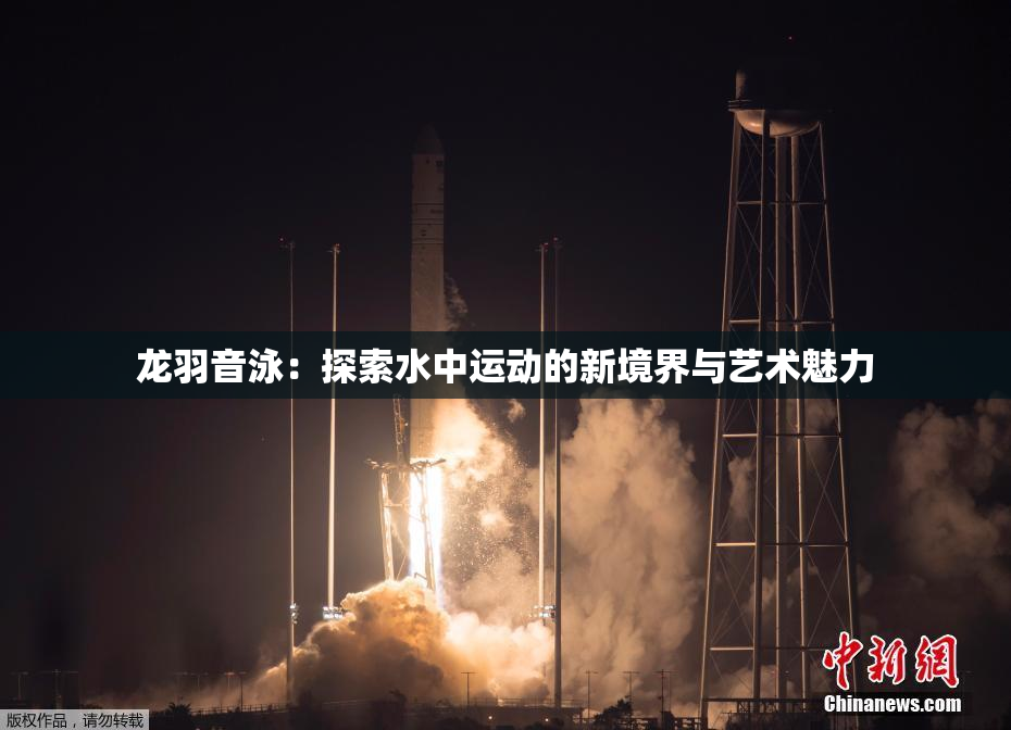 龙羽音泳：探索水中运动的新境界与艺术魅力