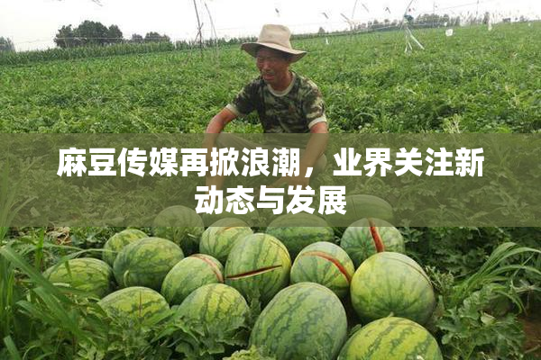麻豆传媒再掀浪潮，业界关注新动态与发展