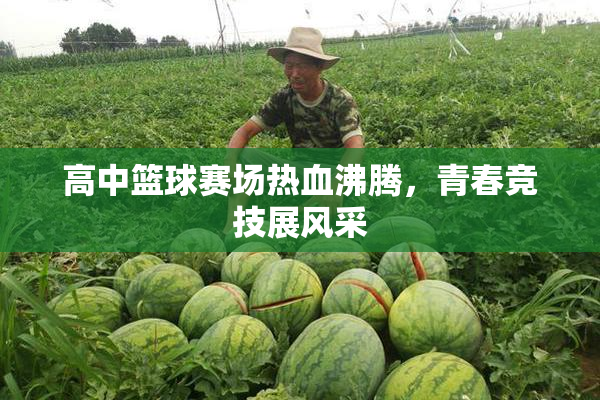 高中篮球赛场热血沸腾，青春竞技展风采
