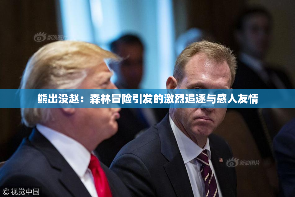 熊出没赵：森林冒险引发的激烈追逐与感人友情