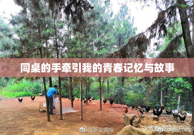 同桌的手牵引我的青春记忆与故事