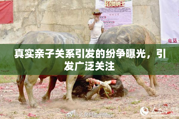 真实亲子关系引发的纷争曝光，引发广泛关注