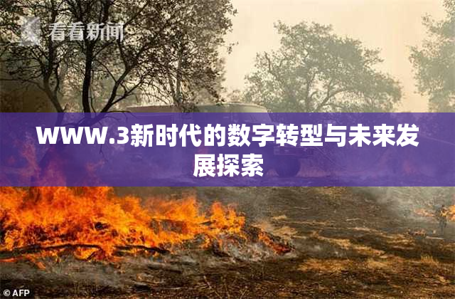 WWW.3新时代的数字转型与未来发展探索