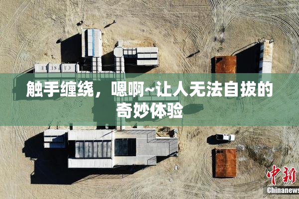 触手缠绕，嗯啊~让人无法自拔的奇妙体验