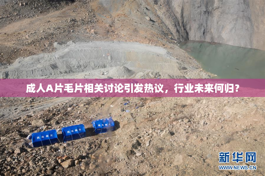 成人A片毛片相关讨论引发热议，行业未来何归？