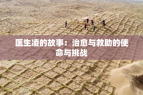 医生凌的故事：治愈与救助的使命与挑战