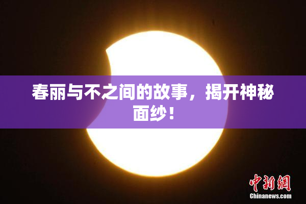 春丽与不之间的故事，揭开神秘面纱！