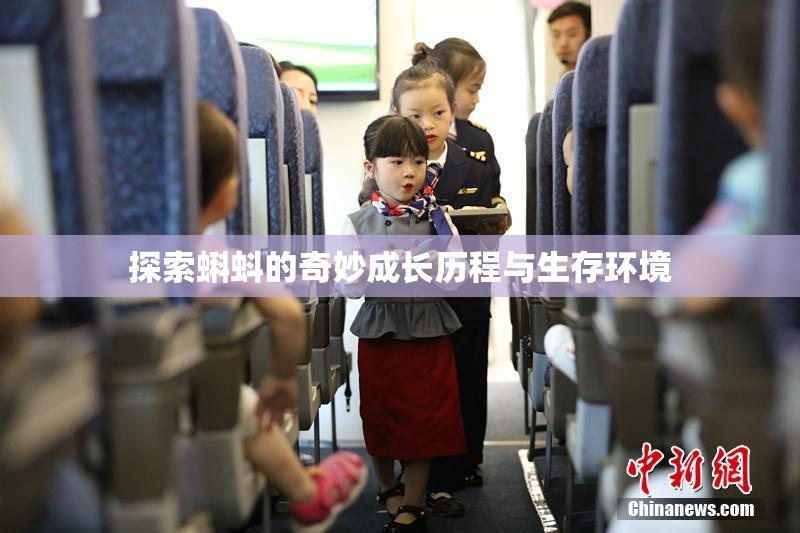 探索蝌蚪的奇妙成长历程与生存环境