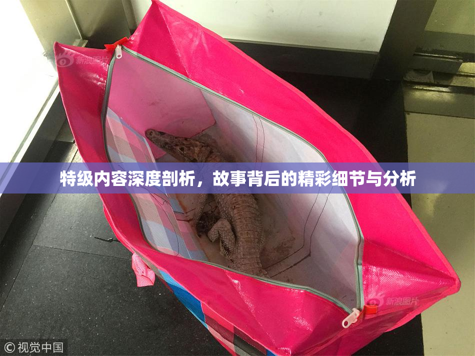 特级内容深度剖析，故事背后的精彩细节与分析