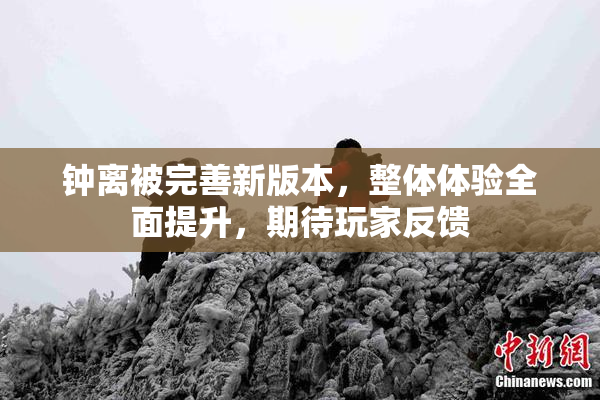 钟离被完善新版本，整体体验全面提升，期待玩家反馈