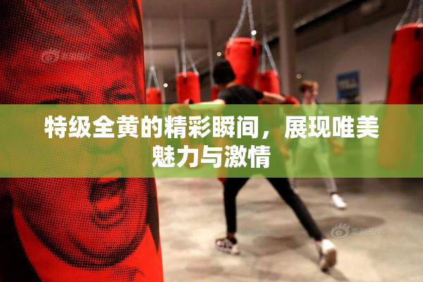 特级全黄的精彩瞬间，展现唯美魅力与激情