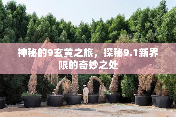 神秘的9玄黄之旅，探秘9.1新界限的奇妙之处