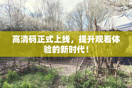 高清码正式上线，提升观看体验的新时代！