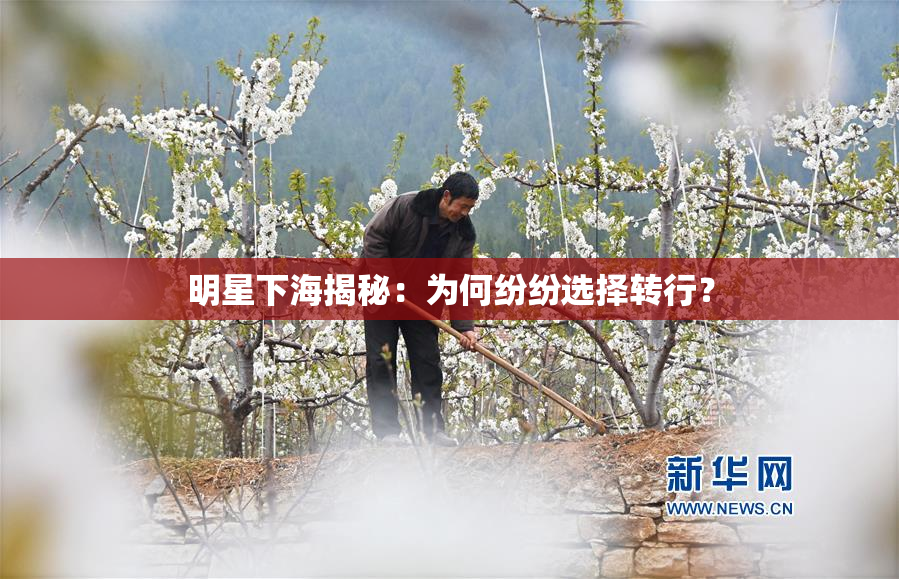 明星下海揭秘：为何纷纷选择转行？