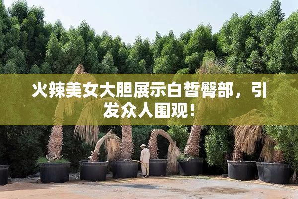 火辣美女大胆展示白皙臀部，引发众人围观！
