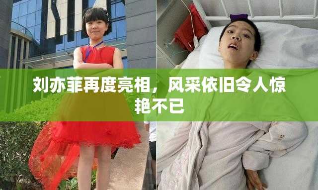 刘亦菲再度亮相，风采依旧令人惊艳不已