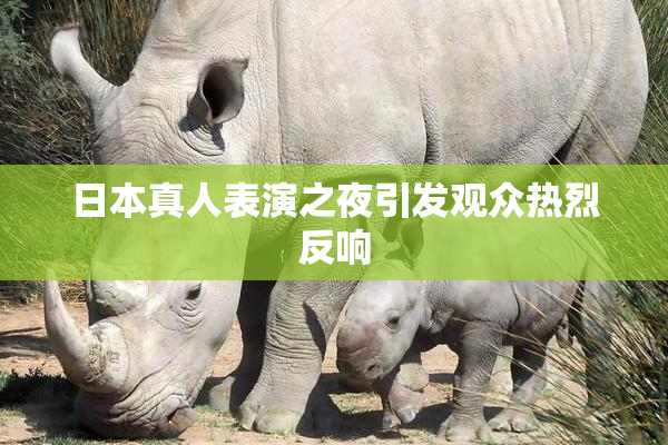 日本真人表演之夜引发观众热烈反响