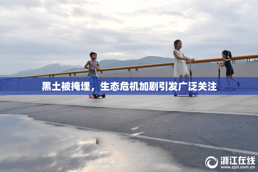黑土被掩埋，生态危机加剧引发广泛关注