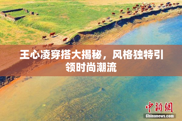 王心凌穿搭大揭秘，风格独特引领时尚潮流