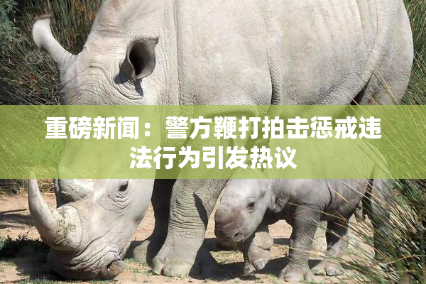 重磅新闻：警方鞭打拍击惩戒违法行为引发热议