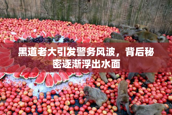 黑道老大引发警务风波，背后秘密逐渐浮出水面
