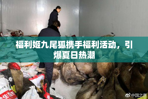 福利姬九尾狐携手福利活动，引爆夏日热潮