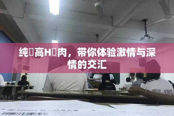 纯愛高H純肉，带你体验激情与深情的交汇