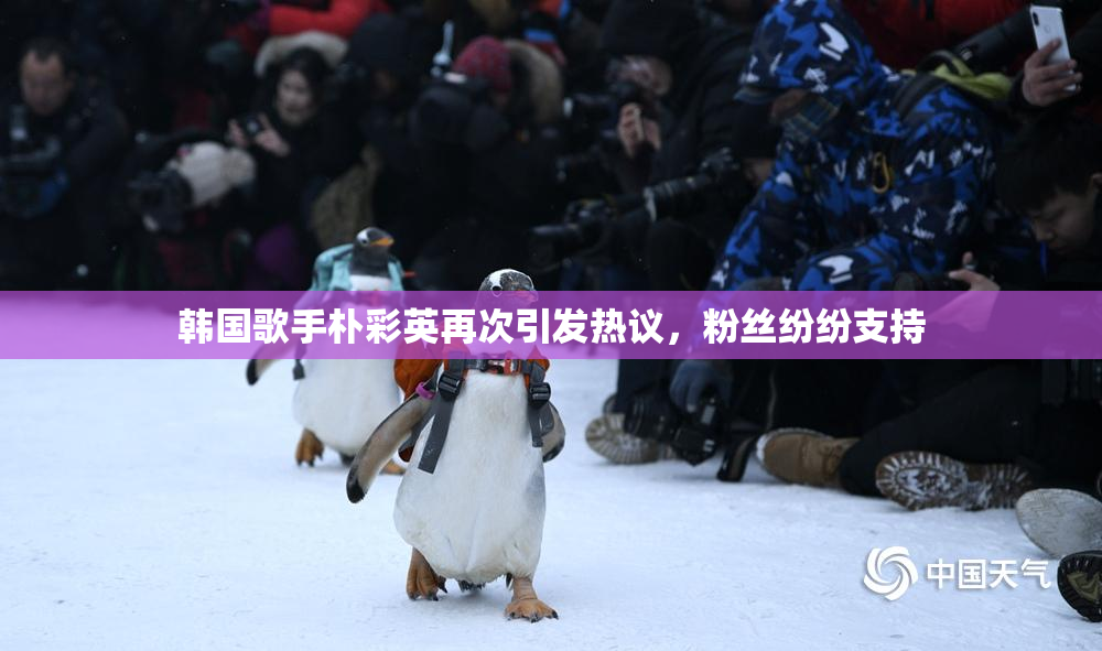 韩国歌手朴彩英再次引发热议，粉丝纷纷支持