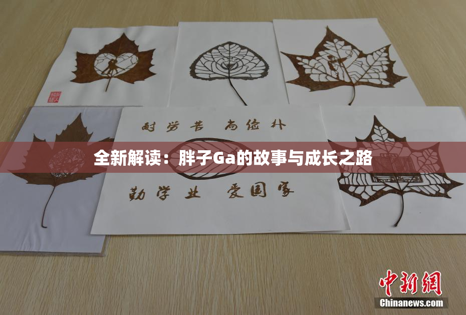 全新解读：胖子Ga的故事与成长之路