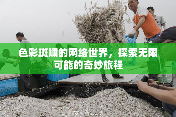 色彩斑斓的网络世界，探索无限可能的奇妙旅程