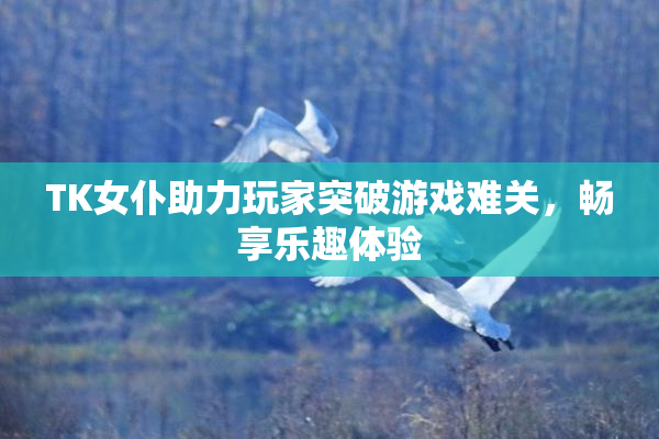 TK女仆助力玩家突破游戏难关，畅享乐趣体验