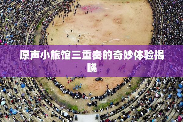 原声小旅馆三重奏的奇妙体验揭晓