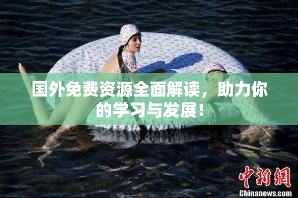 国外免费资源全面解读，助力你的学习与发展！