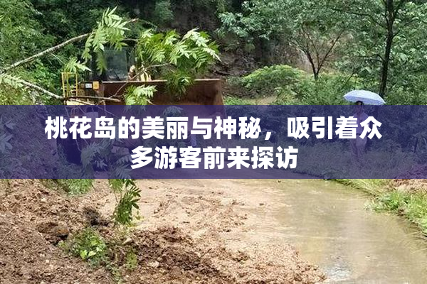 桃花岛的美丽与神秘，吸引着众多游客前来探访
