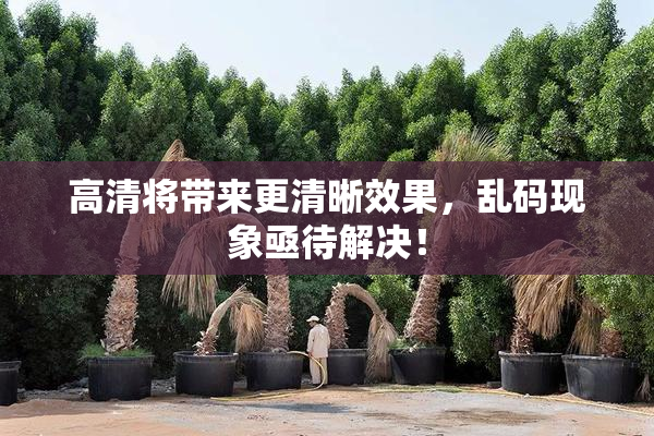 高清将带来更清晰效果，乱码现象亟待解决！