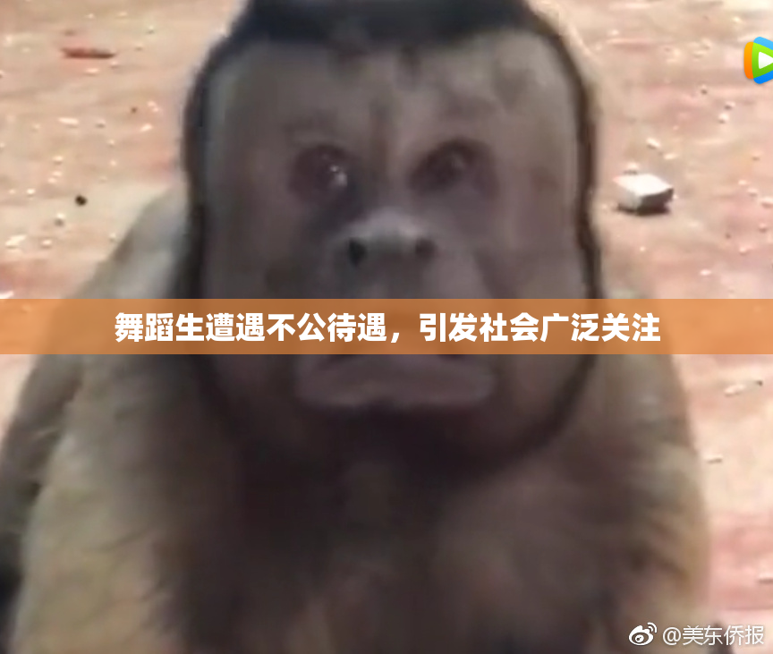 舞蹈生遭遇不公待遇，引发社会广泛关注