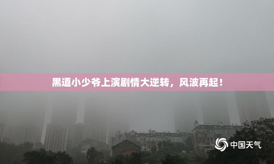 黑道小少爷上演剧情大逆转，风波再起！
