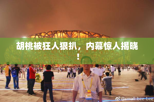 胡桃被狂人狠扒，内幕惊人揭晓！