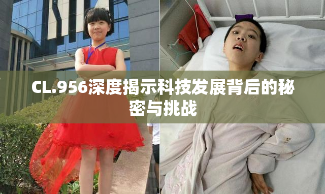 CL.956深度揭示科技发展背后的秘密与挑战
