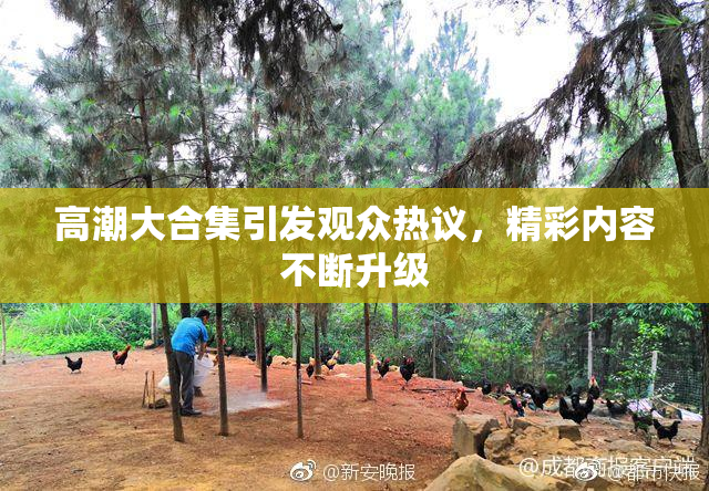 高潮大合集引发观众热议，精彩内容不断升级