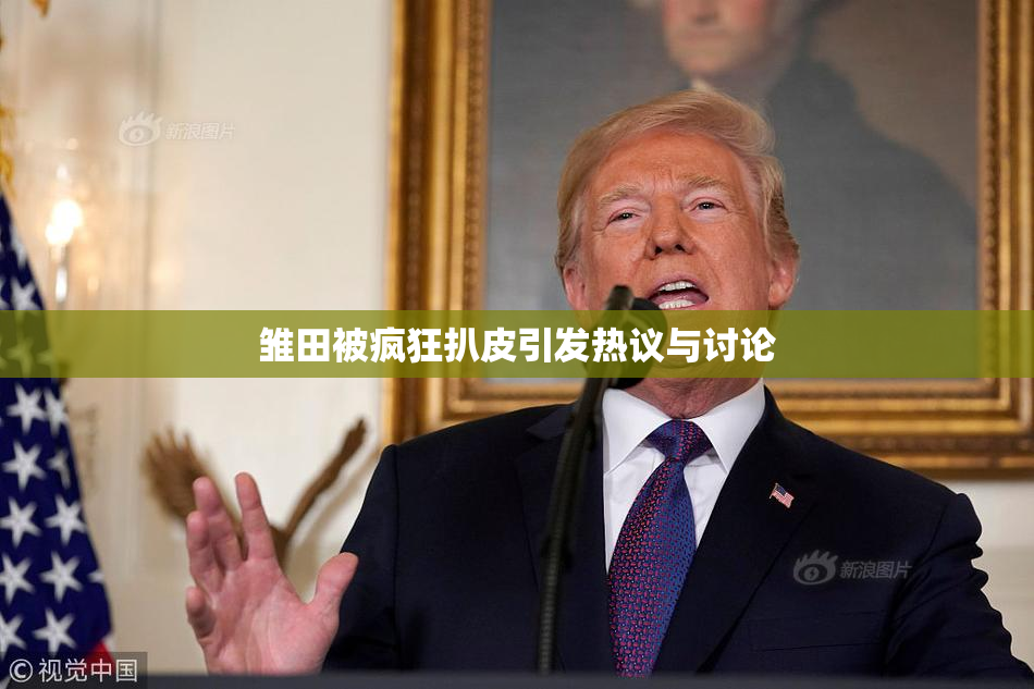 雏田被疯狂扒皮引发热议与讨论