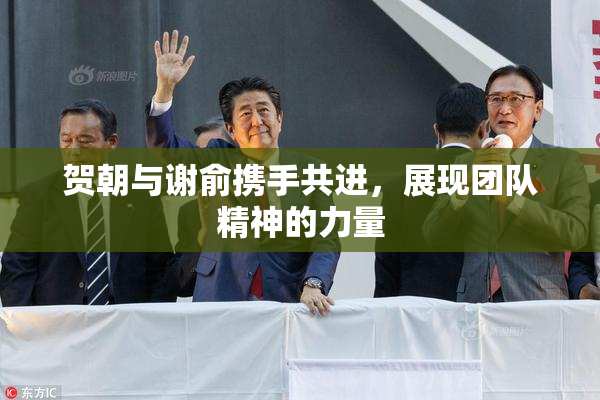 贺朝与谢俞携手共进，展现团队精神的力量