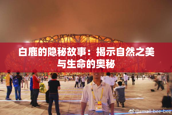 白鹿的隐秘故事：揭示自然之美与生命的奥秘