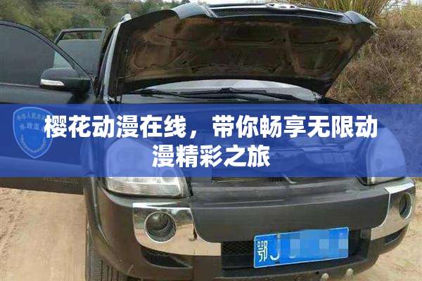 樱花动漫在线，带你畅享无限动漫精彩之旅