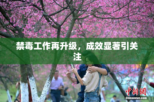 禁毒工作再升级，成效显著引关注