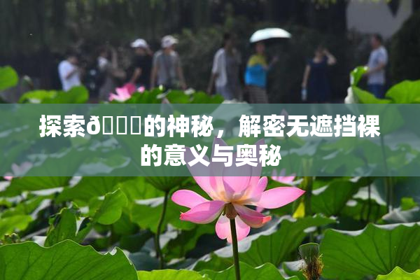 探索🔞的神秘，解密无遮挡裸的意义与奥秘