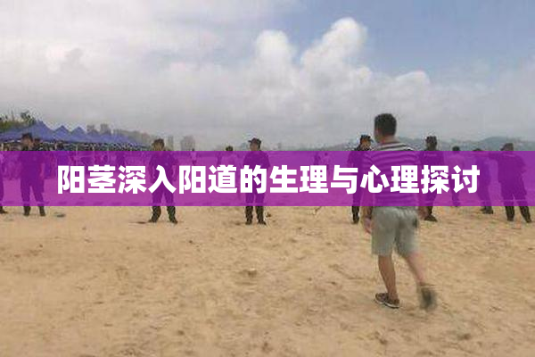 阳茎深入阳道的生理与心理探讨