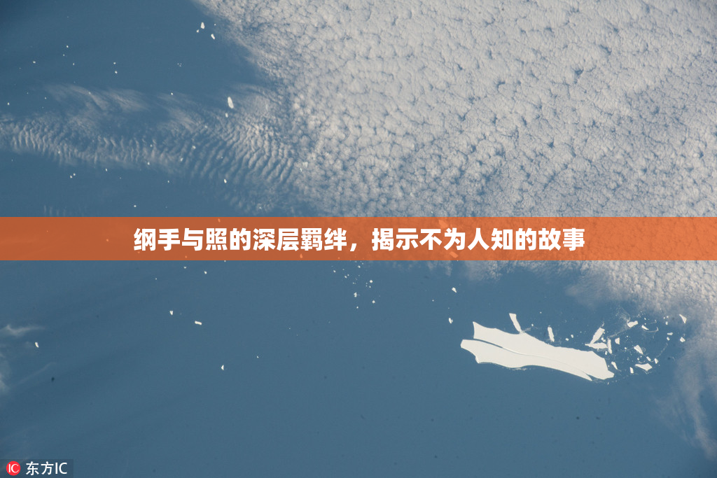 纲手与照的深层羁绊，揭示不为人知的故事