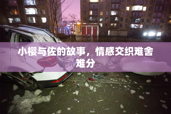 小樱与佐的故事，情感交织难舍难分